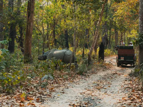 Kathmandu Pokhara Chitwan Tour