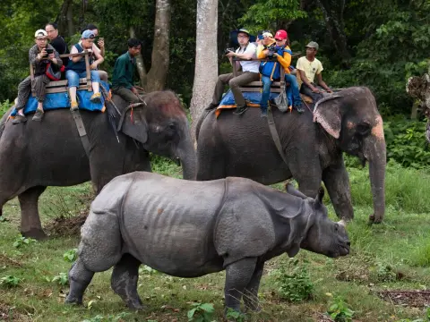Kathmandu Chitwan Tour